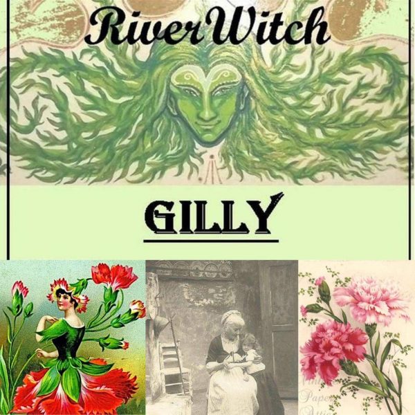 RiverWitch Apothecary: Gilly