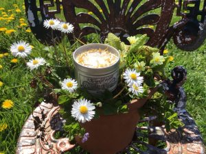 RiverWitch Apothecary: Sol candle